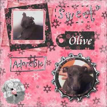 Olives Scrap Page