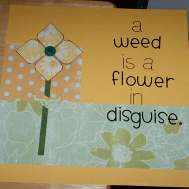 A weed is a flower in disguise. (right page)