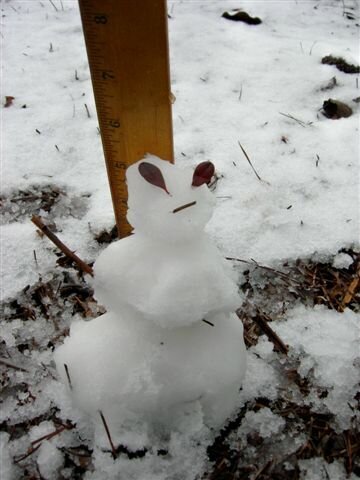little snowman