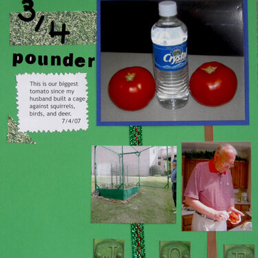 3/4 Pounder (tomato)