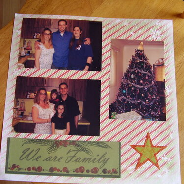 Brads family Christmas 2007