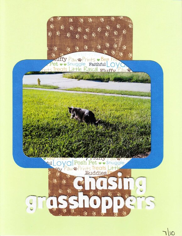 Chasing Grasshoppers