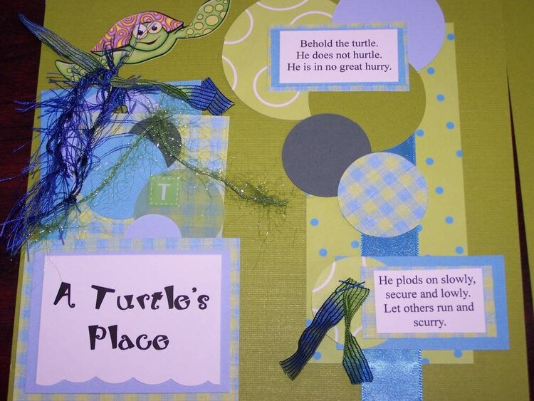 A Turtle&#039;s Place  Pg. #1