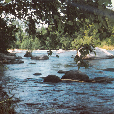 Nisqually River