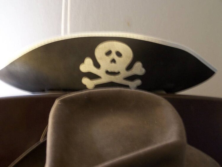 pirate hat +9
