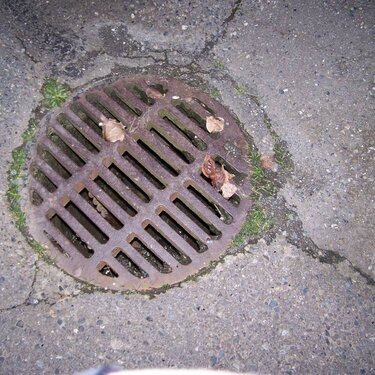 drab picture of a drain  - 5pts.