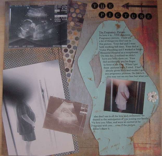 The Pregnancy Picture