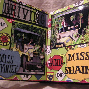 Driving.....silverwood altered Book