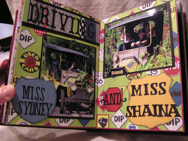 Driving.....silverwood altered Book