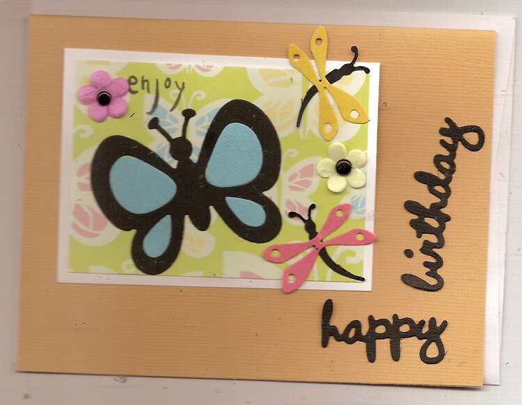 Butterfly birthday