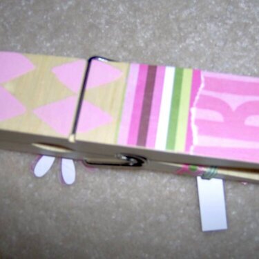 Decoupaged clothespin back