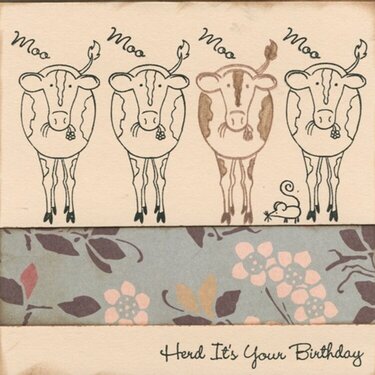 Herd it&#039;s your Birthday