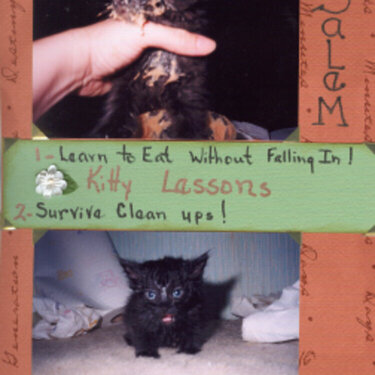 Kitty Lessons