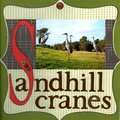 Sandhill Cranes *rusty pickle