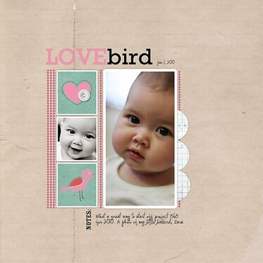 love bird