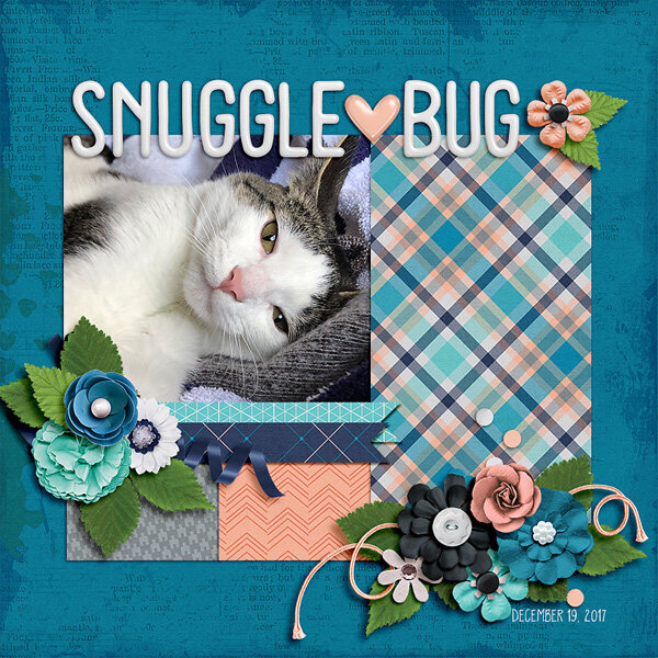 snuggle bug