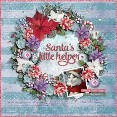 Santa&#039;s little helper