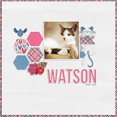 watson