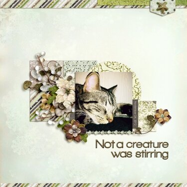 not a creature 