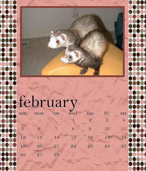 February Calendar Page 