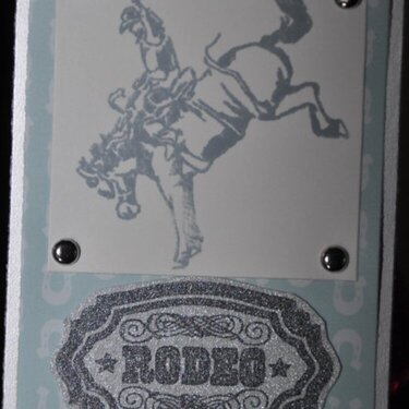 Rodeo ATC