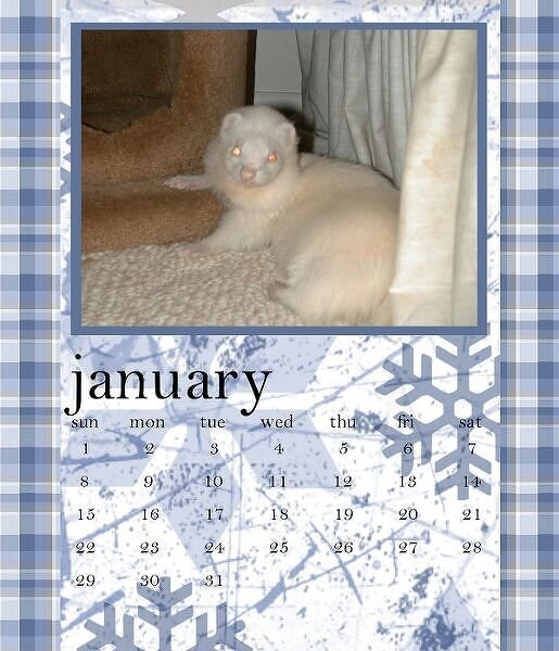 My first digi attempt - January 2006 Calendar page