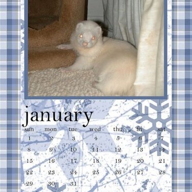 My first Digi Attempt - January 2006 Calendar page