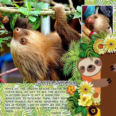 slothsational