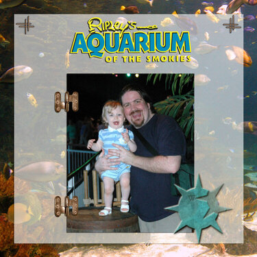 Ripley&#039;s Aquarium Cover LO