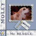 Beagle Mom's Beagle~~Molly :-)