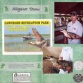 Alligator Show