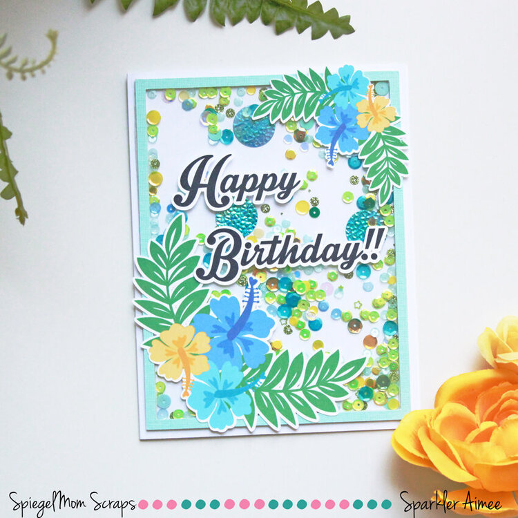 Happy Birthday shaker card