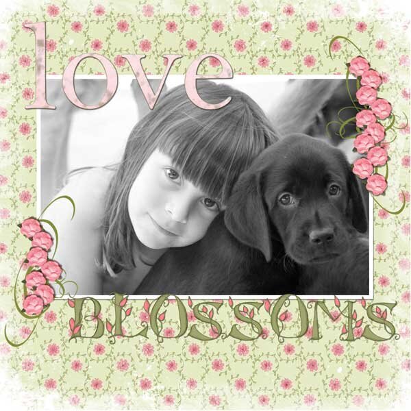 Love Blossoms