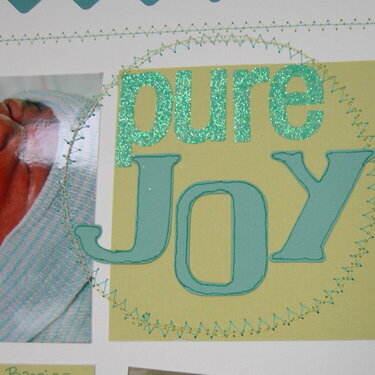 Pure Joy title detail