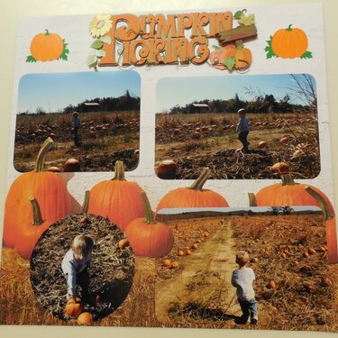 pumpkin picking 2010