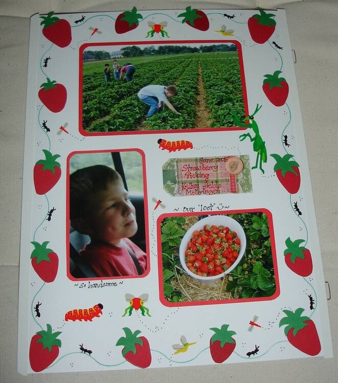 Strawberry picking in June