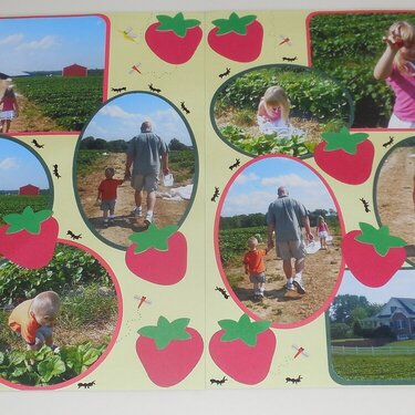 Strawberry picking, May 2011