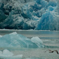 Sawyer Glacier
