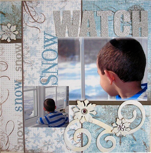 Snow Watch