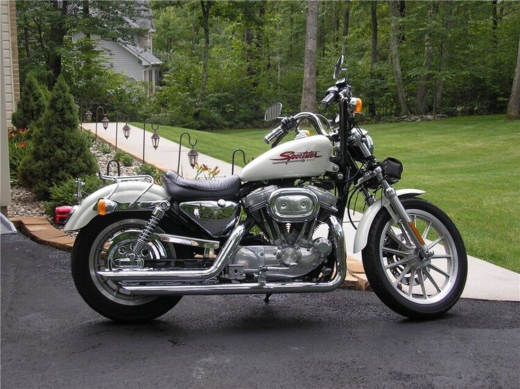 Bonus #1 A picture of my Sportster