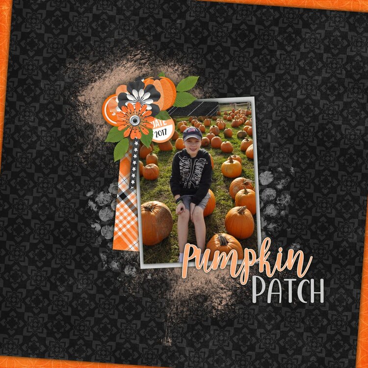 Pumpkin Patch 2017