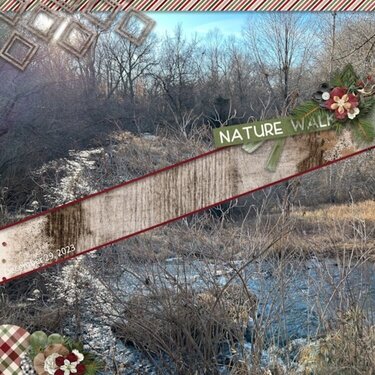 Nature Winter Walk