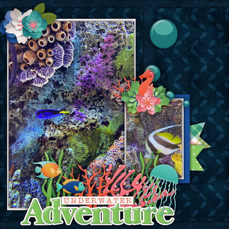 Underwater Adventure 