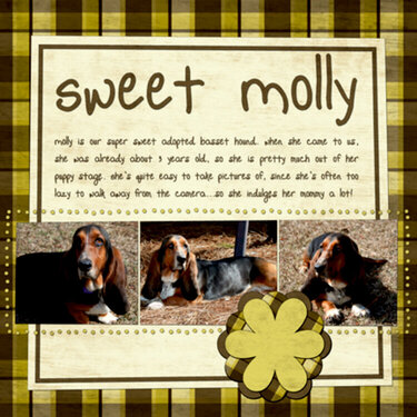 Sweet Molly