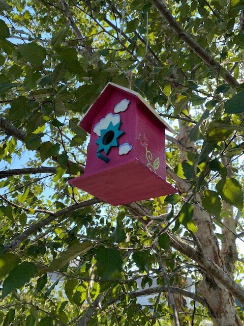 Painted bird house