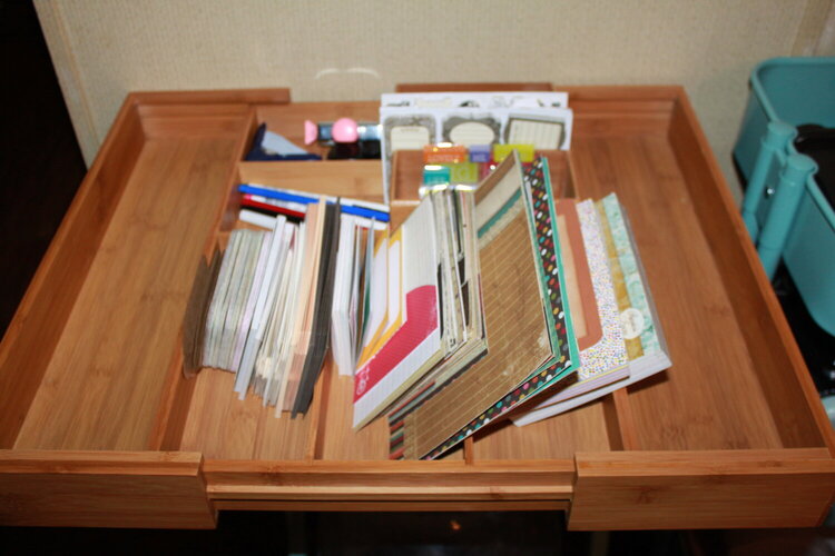 project life organization tray