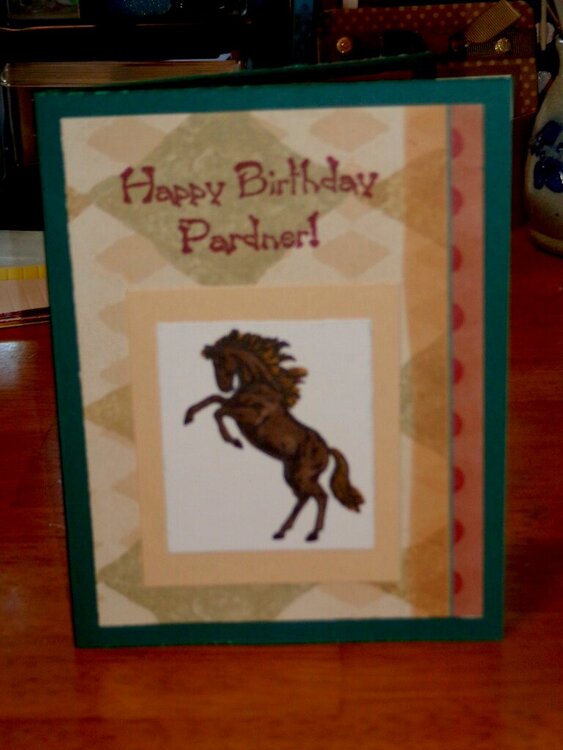 Horse birthday