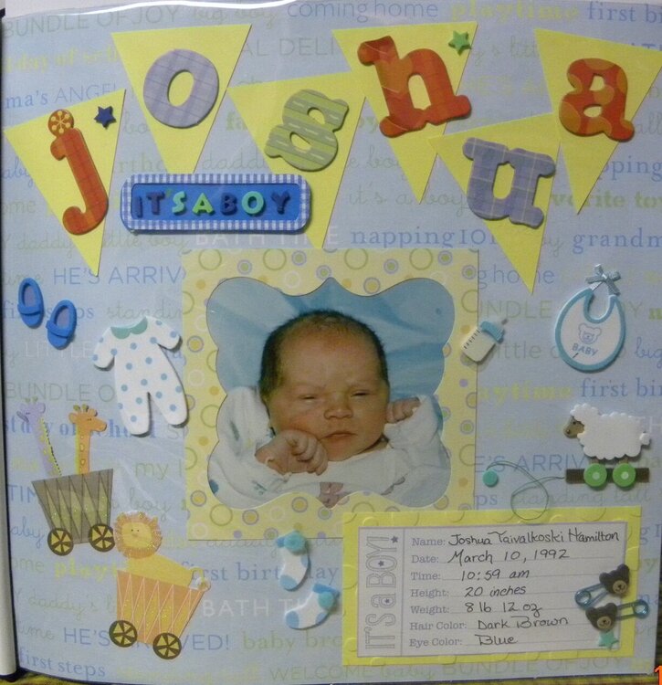 Josh&#039;s Birth