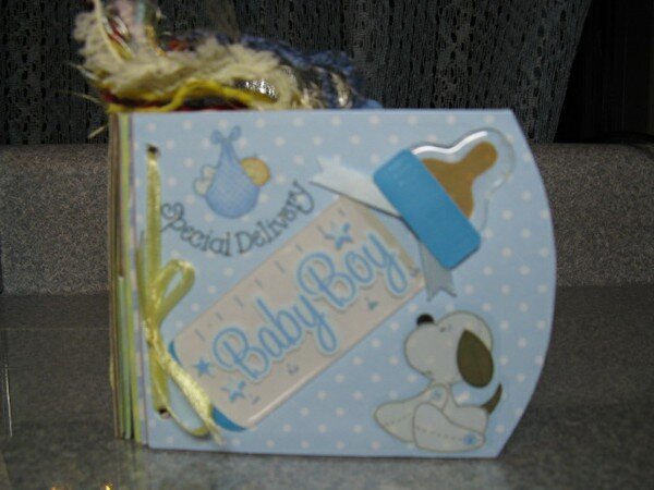 Baby Boy Brag Book