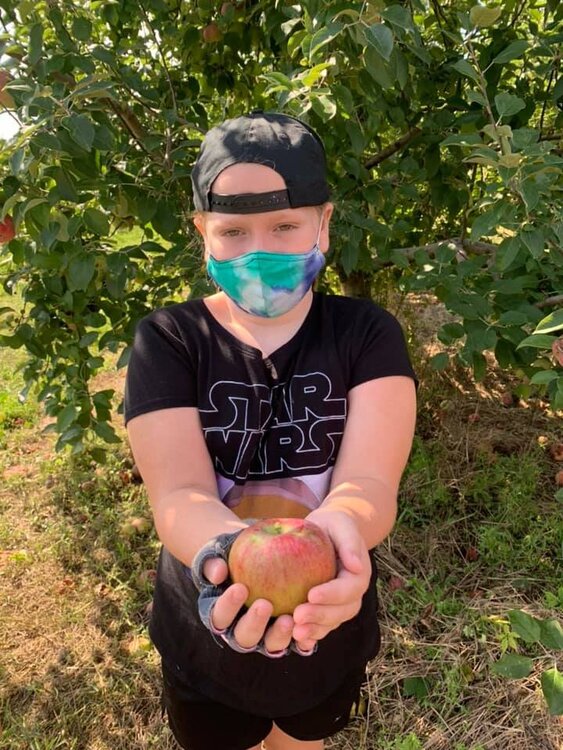 Apple Picking